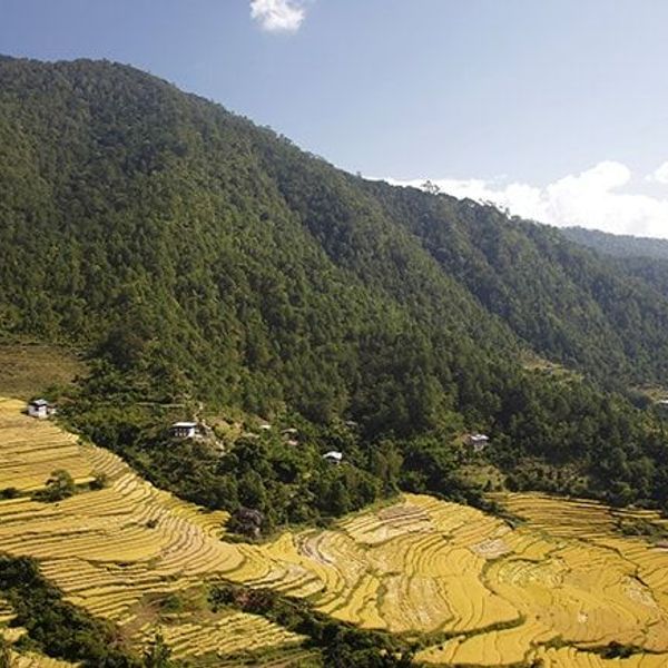 between-nepal-and-bhutan