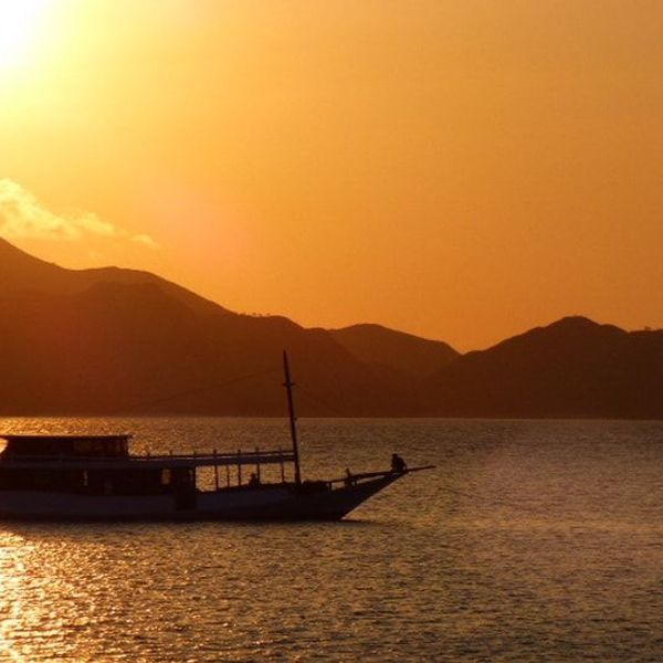 rice-fields-of-bali-to-komodo-dragons