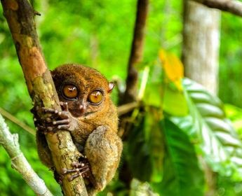 decouverte-philippines