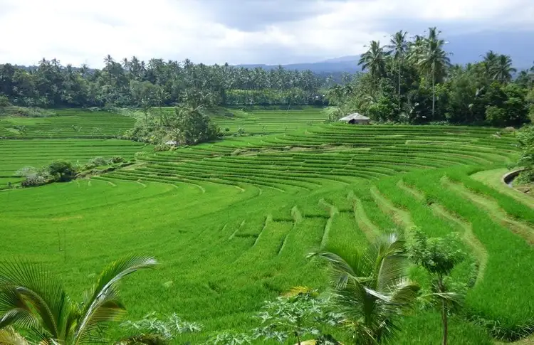 bali-in-the-heart-of-nature
