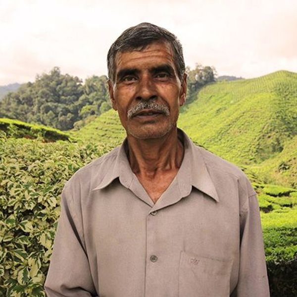 ete-famille-malaisie