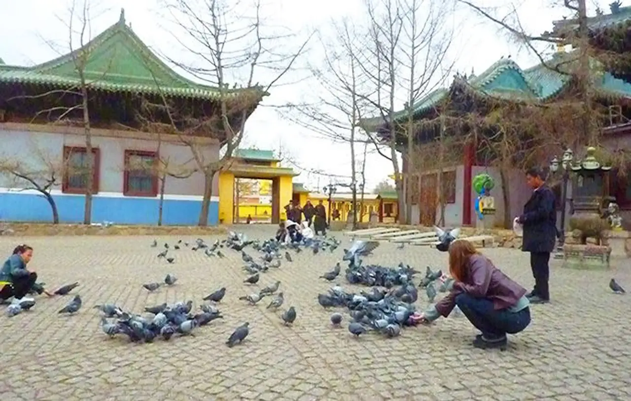 grand-tour-mongolie