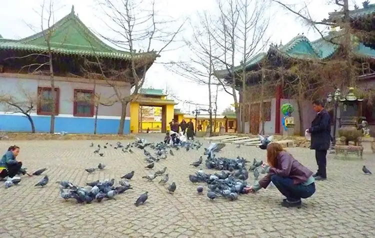 grand-tour-mongolie