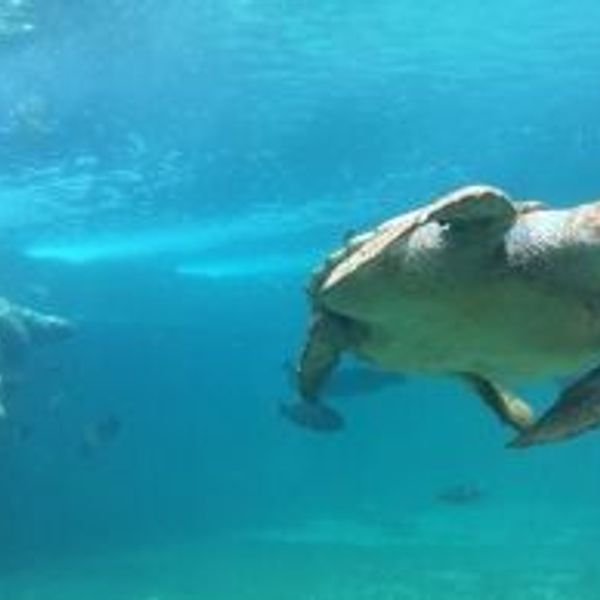 reunion-habitant-autotour