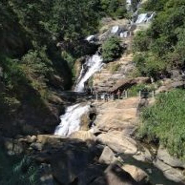 romantic-gateway-sri-lanka-nature