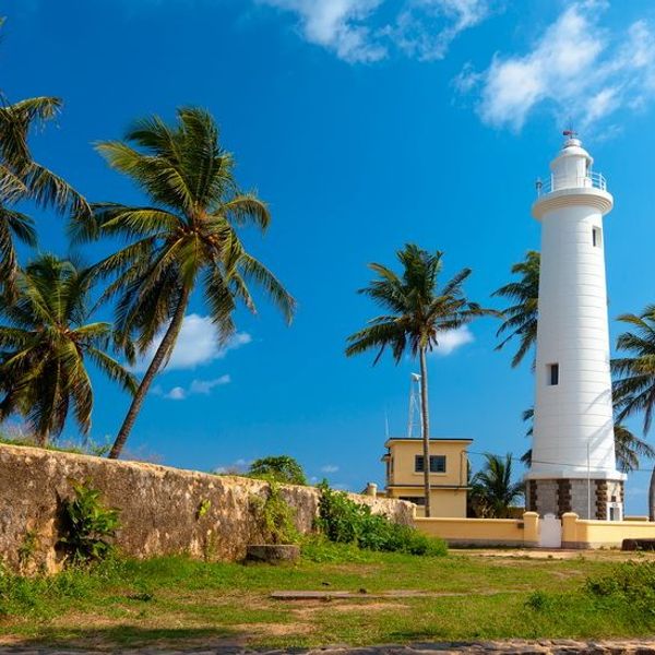 ceylon-nature-and-wildlife