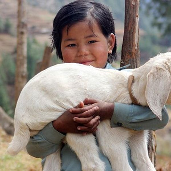 gokyo-camp-de-base-everest