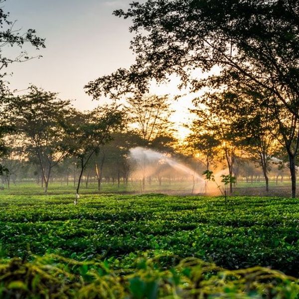 tribus-arunachal-brahmapoutre