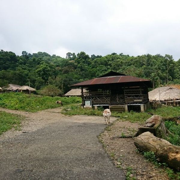 tribus-arunachal-brahmapoutre