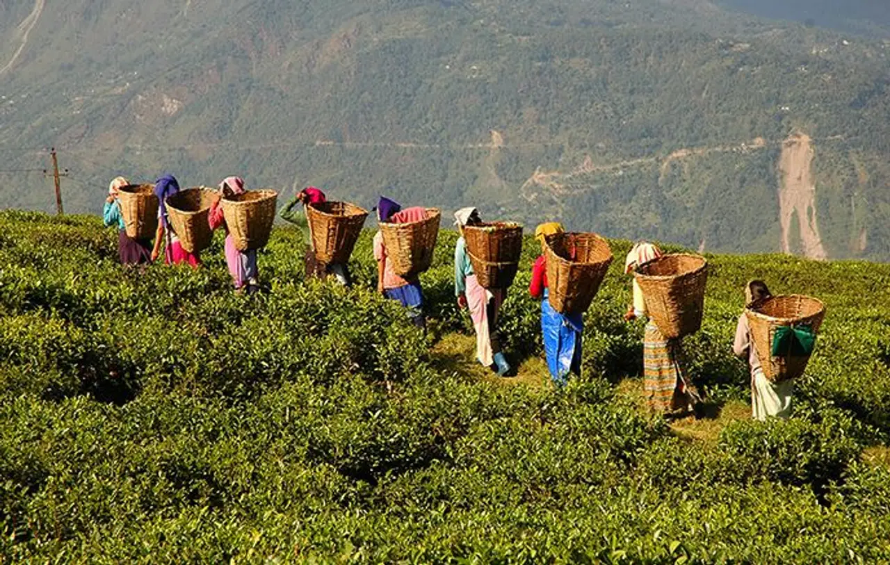 royaumes-himalayens-nepal-sikkim-bhoutan