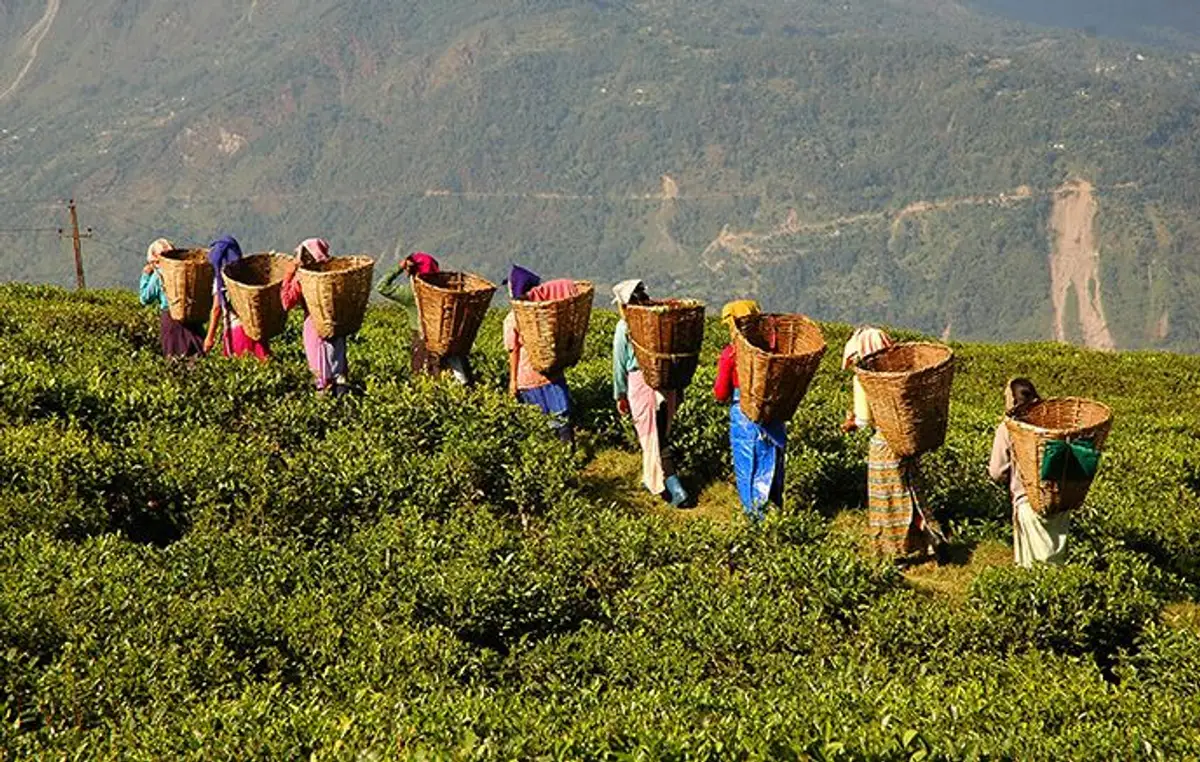 royaumes-himalayens-nepal-sikkim-bhoutan