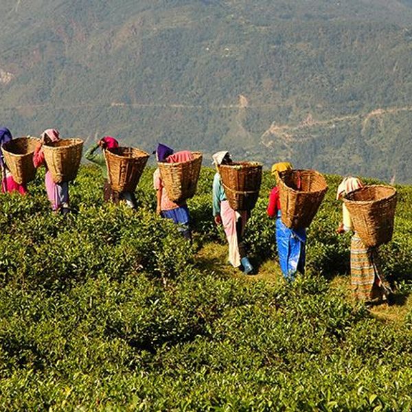 royaumes-himalayens-nepal-sikkim-bhoutan