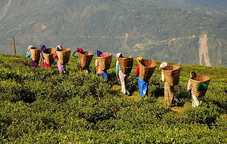 royaumes-himalayens-nepal-sikkim-bhoutan