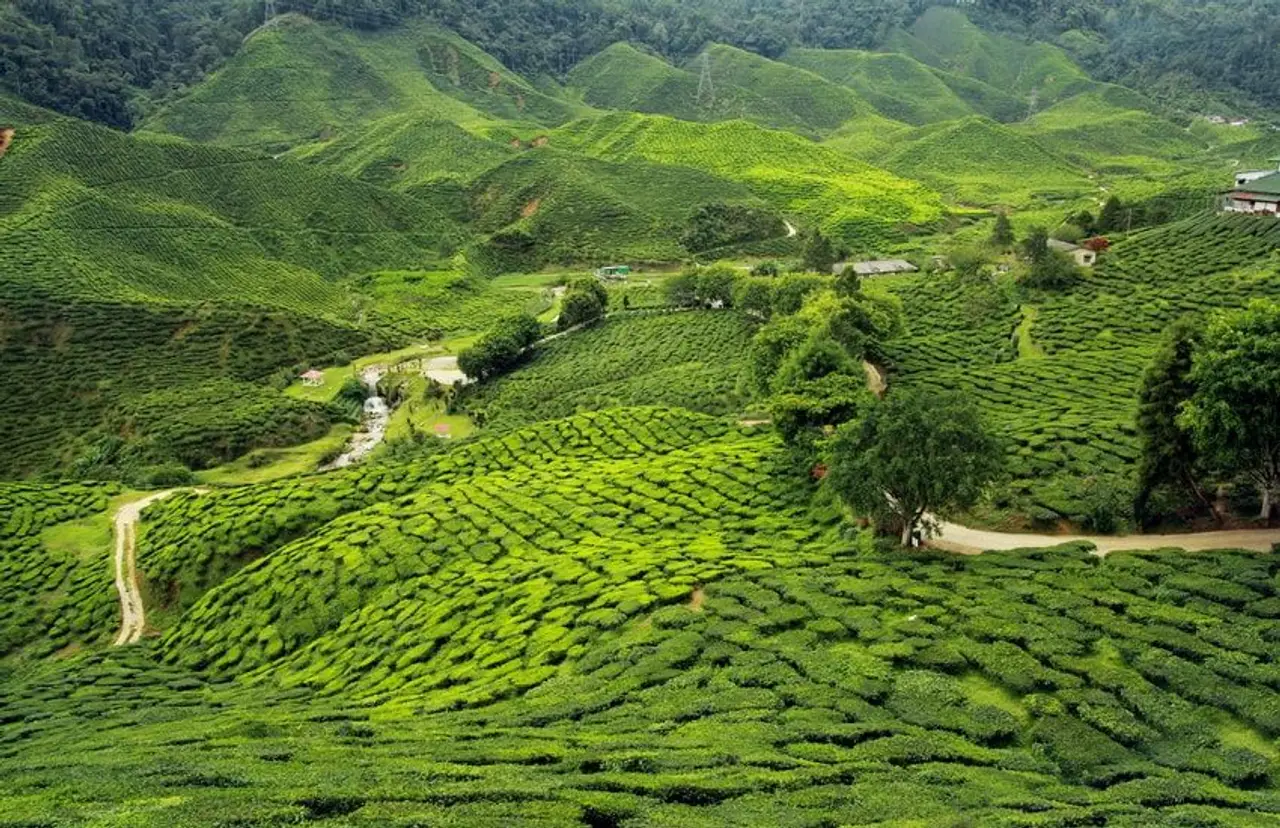 entre-sikkim-et-bhoutan