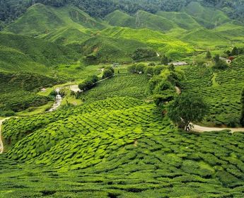 entre-sikkim-et-bhoutan