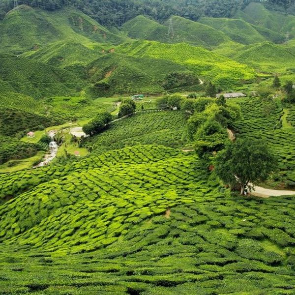 entre-sikkim-et-bhoutan