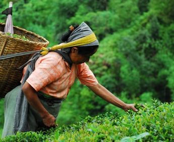 tribus-arunachal-brahmapoutre