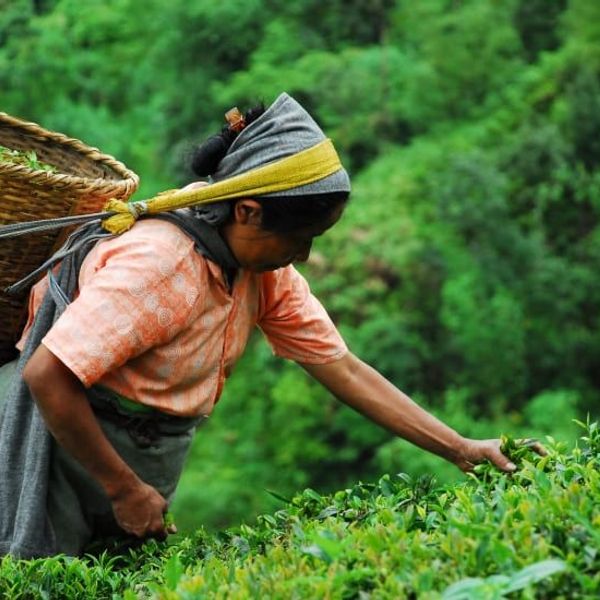 tribus-arunachal-brahmapoutre