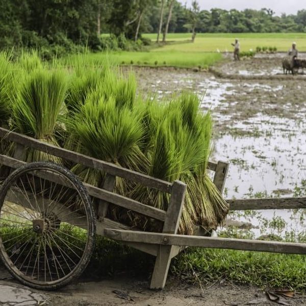 tribus-arunachal-brahmapoutre