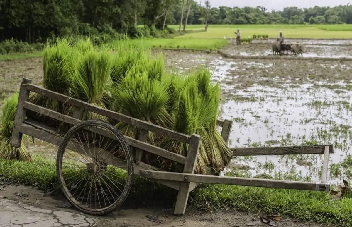 tribus-arunachal-brahmapoutre