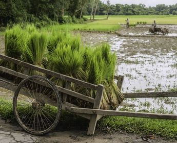 tribus-arunachal-brahmapoutre