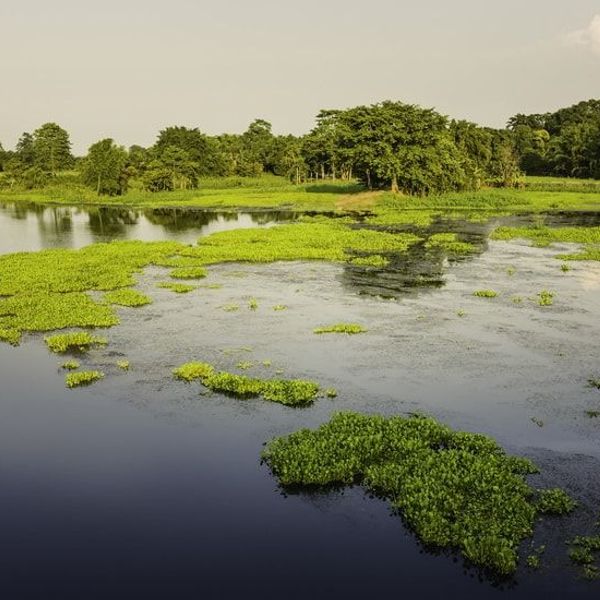 tribus-arunachal-brahmapoutre