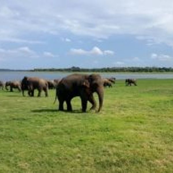 sri-lanka-trhill-past-present