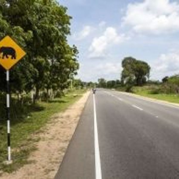 exploring-south-sri-lanka