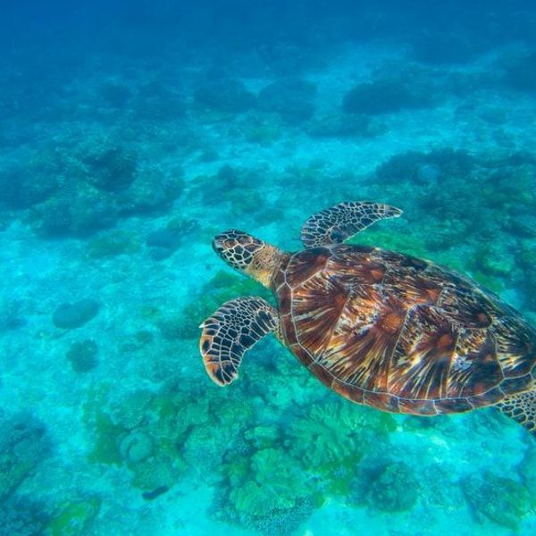 break-in-the-visayas-and-palawan-archipelago