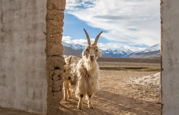 sur-les-sentiers-pamir