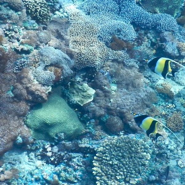 bali-in-the-heart-of-nature