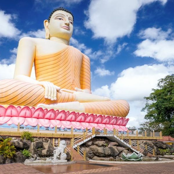 ceylon-nature-and-wildlife