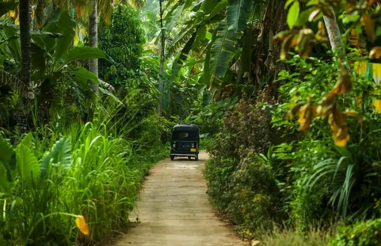 inde-du-sud-au-sri-lanka