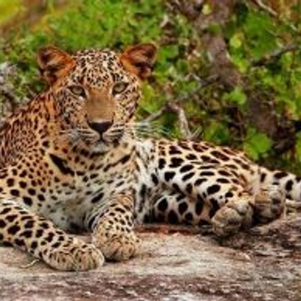 exploring-south-sri-lanka