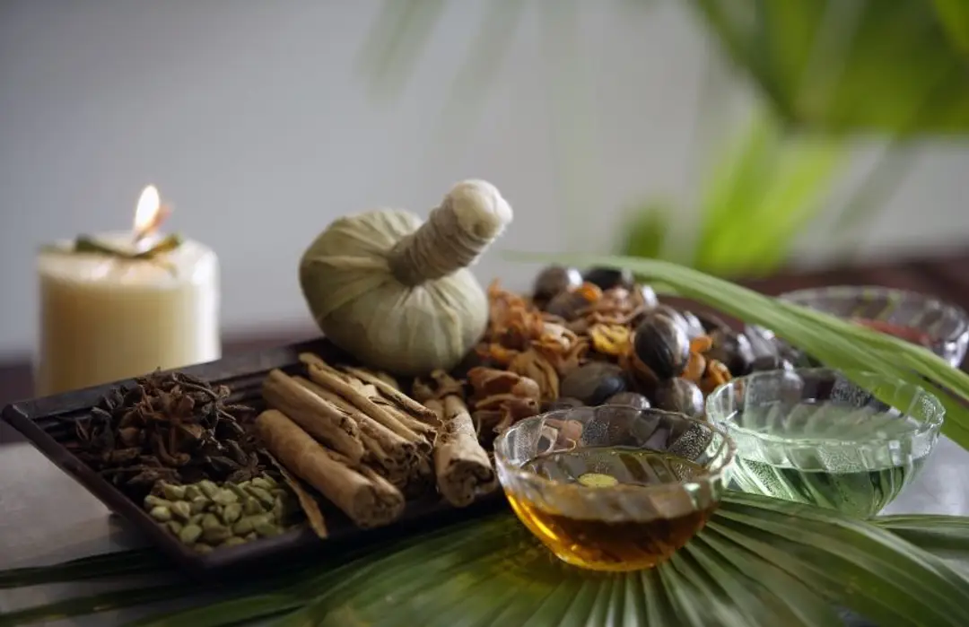 kerala-the-heart-of-traditional-ayurveda