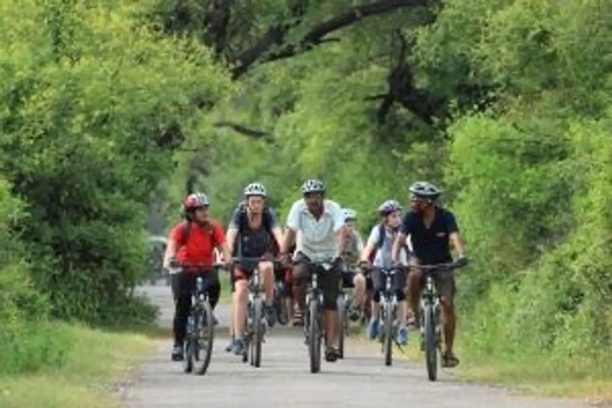 cycle-through-kerala