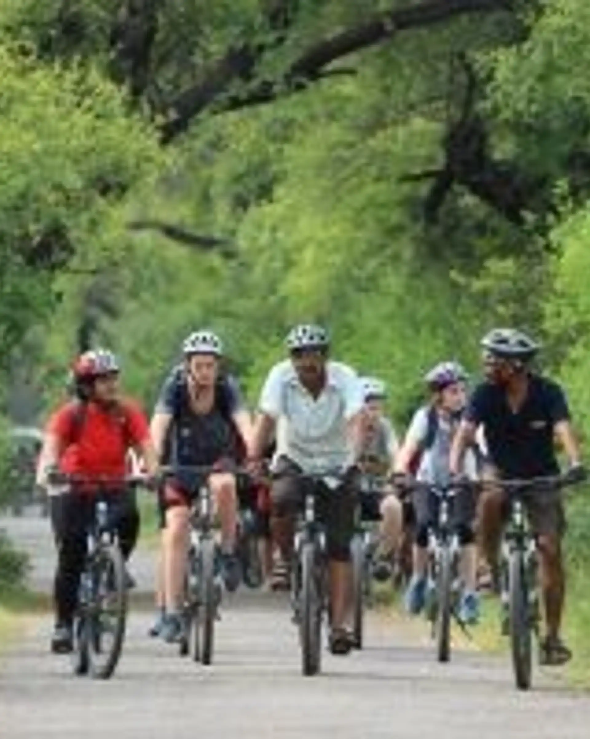 cycle-through-kerala