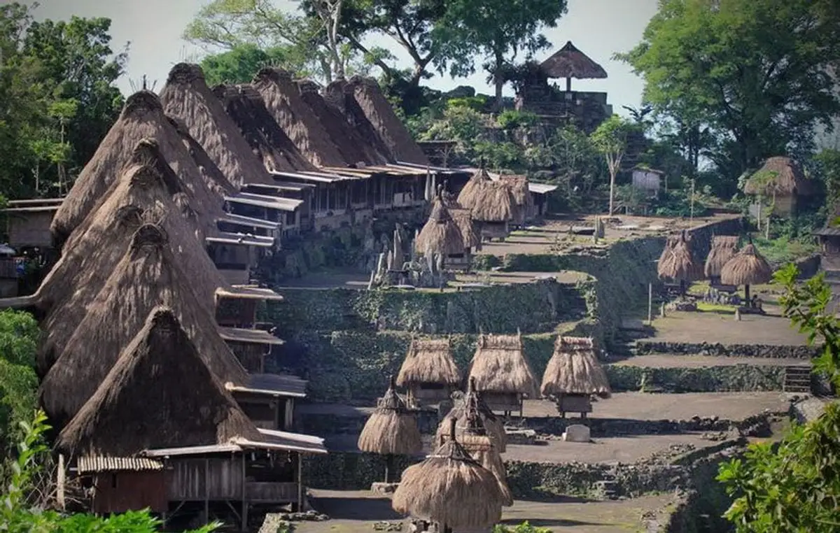 rice-fields-of-bali-to-komodo-dragons