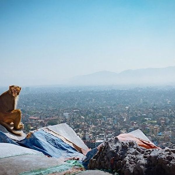 family-trip-to-nepal