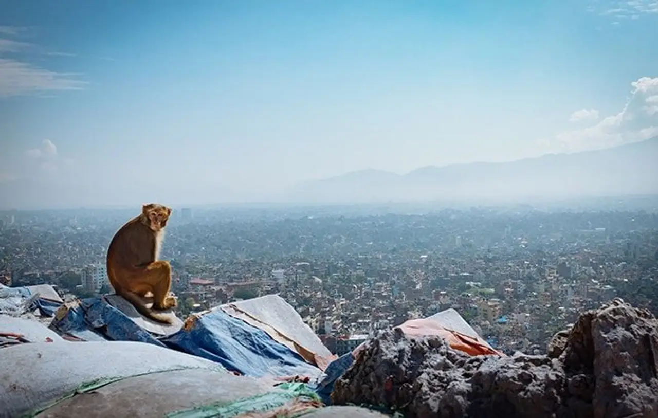 family-trip-to-nepal