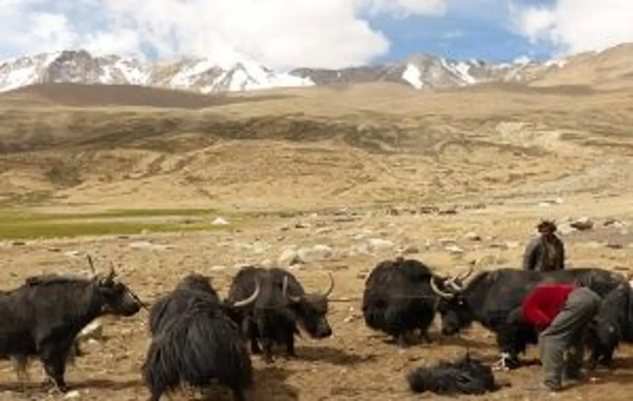 great-crossing-zanskar