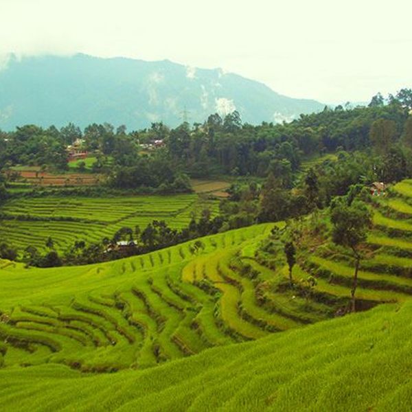 royaumes-himalayens-nepal-sikkim-bhoutan