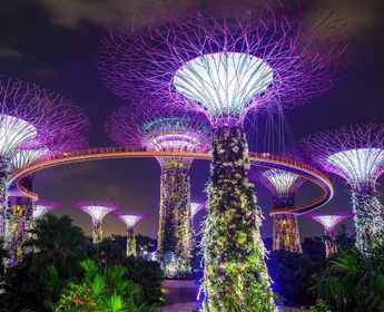 essentials-of-singapore