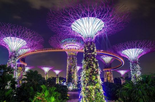 essentials-of-singapore