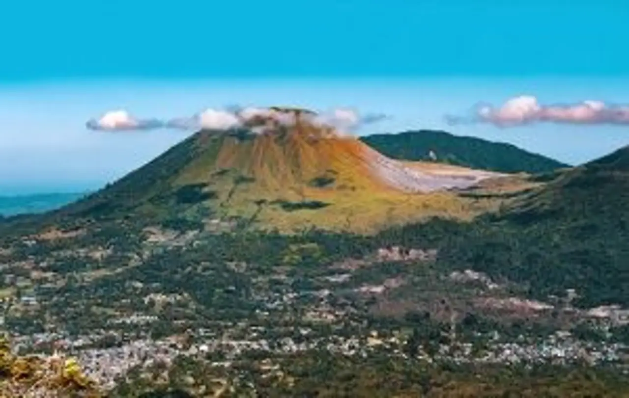celebes
