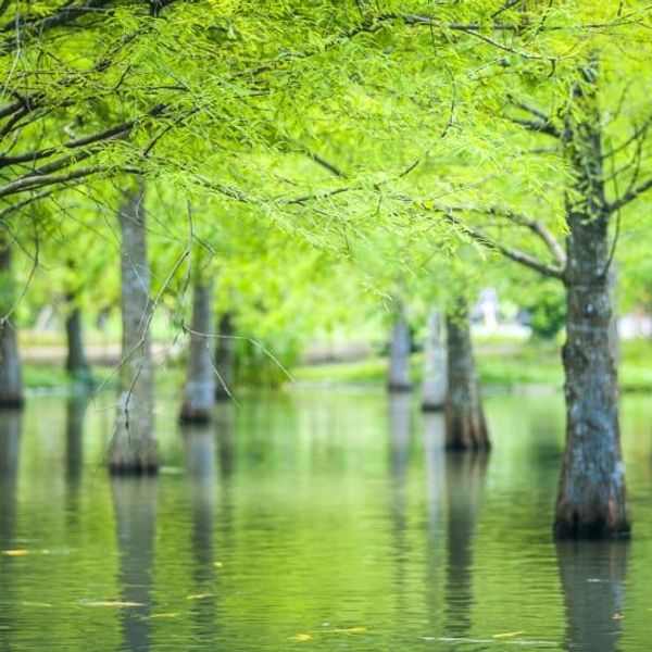 voyage-famille-taiwan