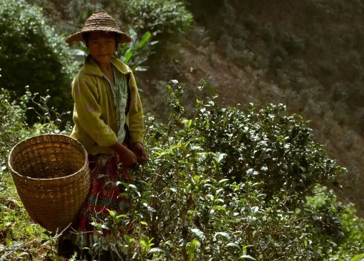 hidden-treasures-of-south-burma
