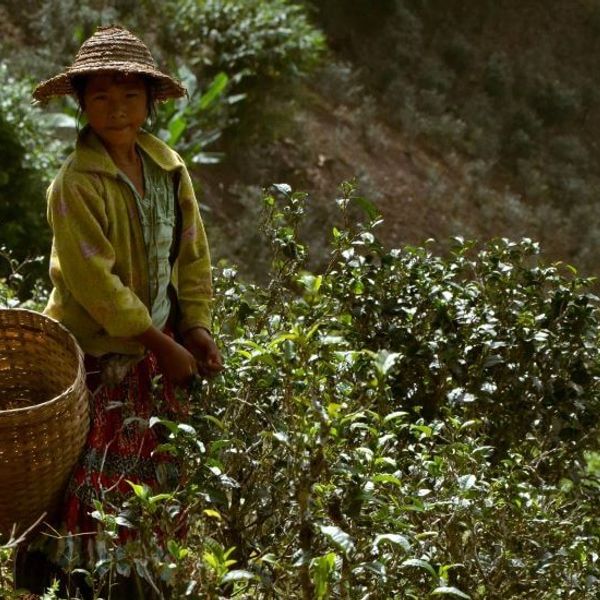 hidden-treasures-of-south-burma