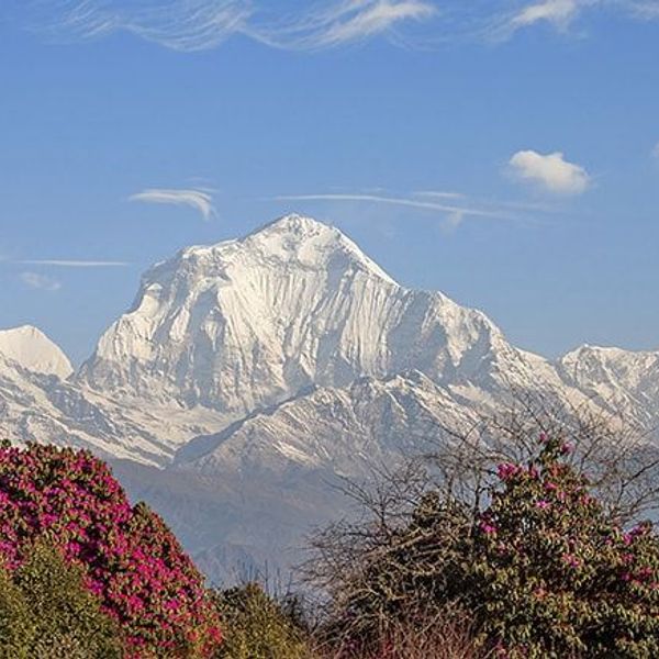 mustang-the-forbidden-kingdom