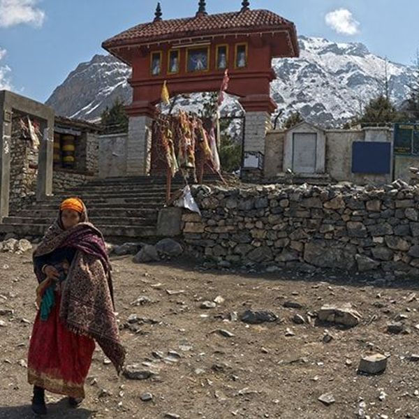 mustang-the-forbidden-kingdom